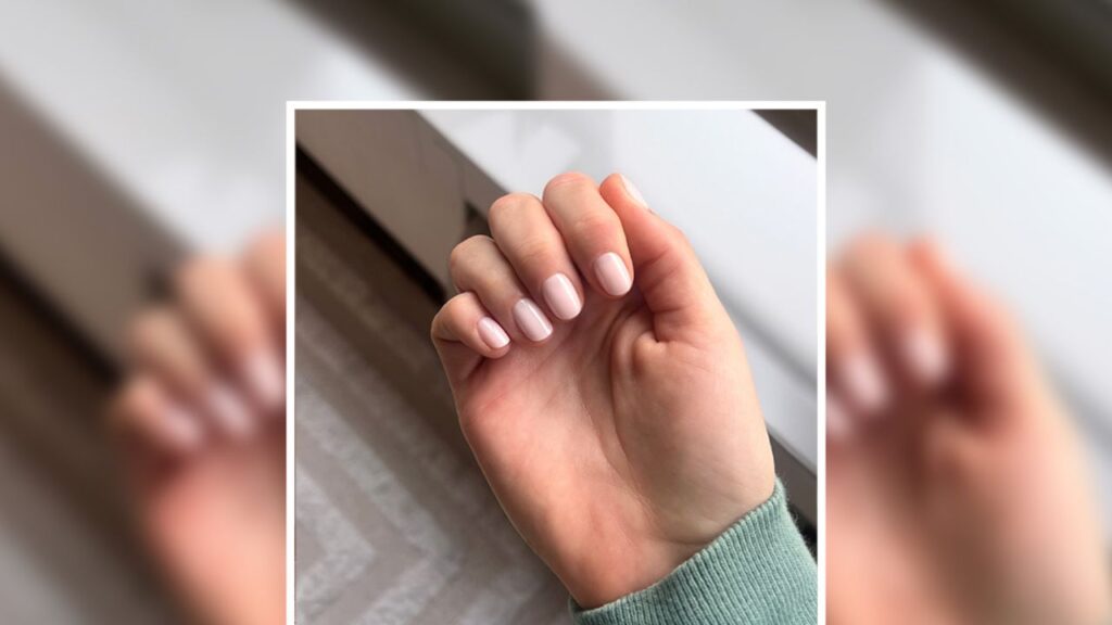 Olive & June's Press