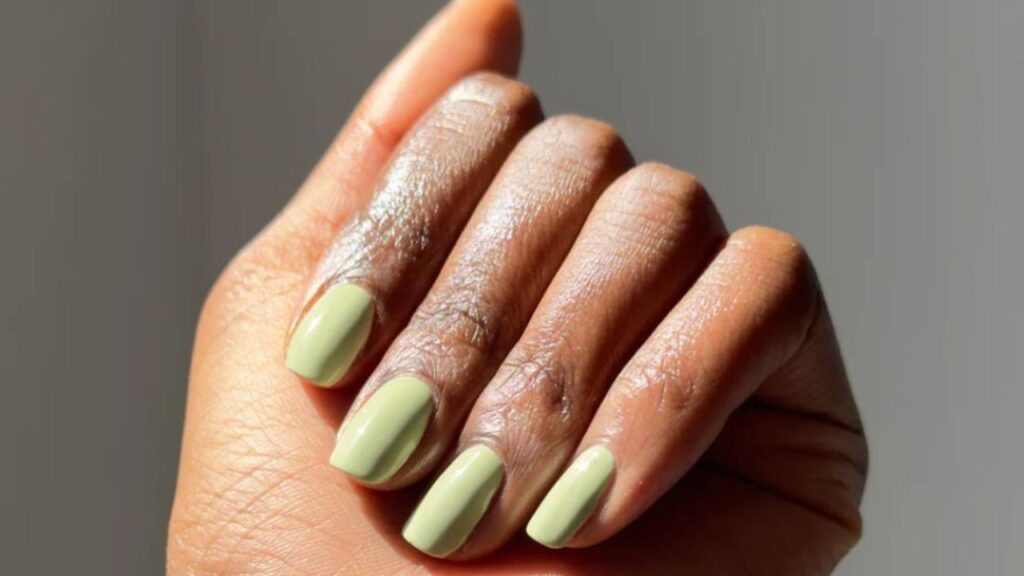 Chillhouse Forever Wear Chill