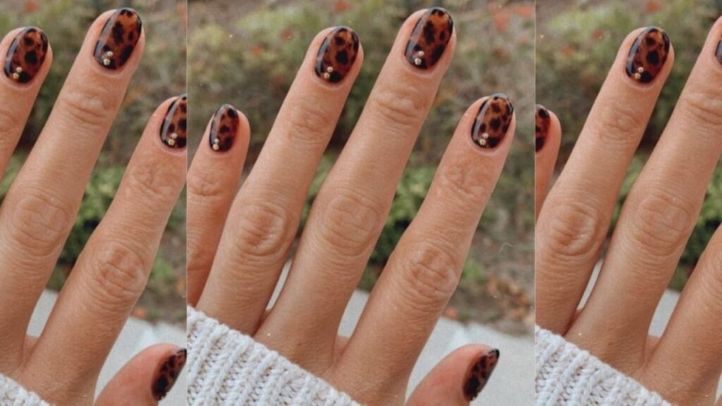 Tortoise Shell Nail Ideas